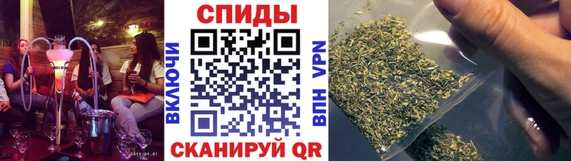 OMG ссылки  Почеп  Бутират буратино 