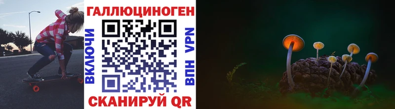 Галлюциногенные грибы Psilocybine cubensis  Почеп 